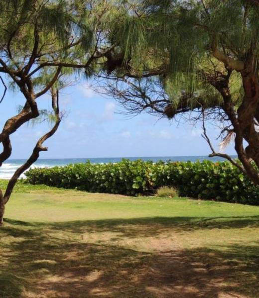 21CD5695-D8DE-4CD6-9E96-667F5A22AACB